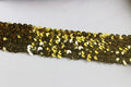 Borde Elastico Paillettes