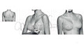 Reggiseno per allattamento coppe morbide