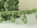 Passamaneria cipolla verde sfumato - 5,5 cm