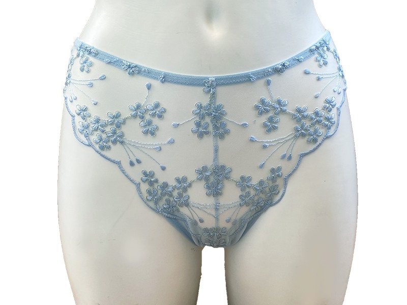 Slip con ricamo su tulle - vita alta - EVELYN - Cookie