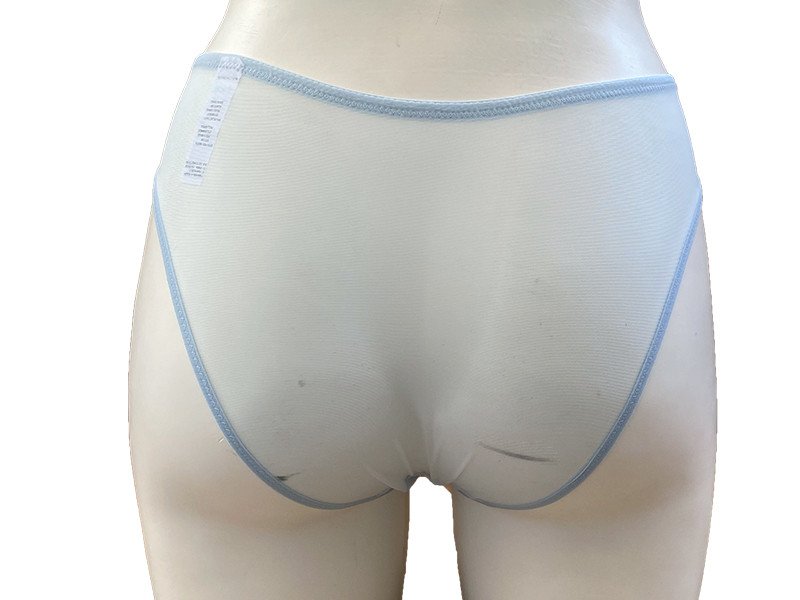 Slip con ricamo su tulle - vita alta - EVELYN - Cookie